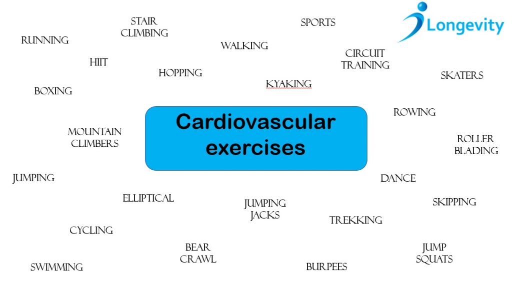 types-of-cardiovascular-exercise-longevitypt-exercise-physiology